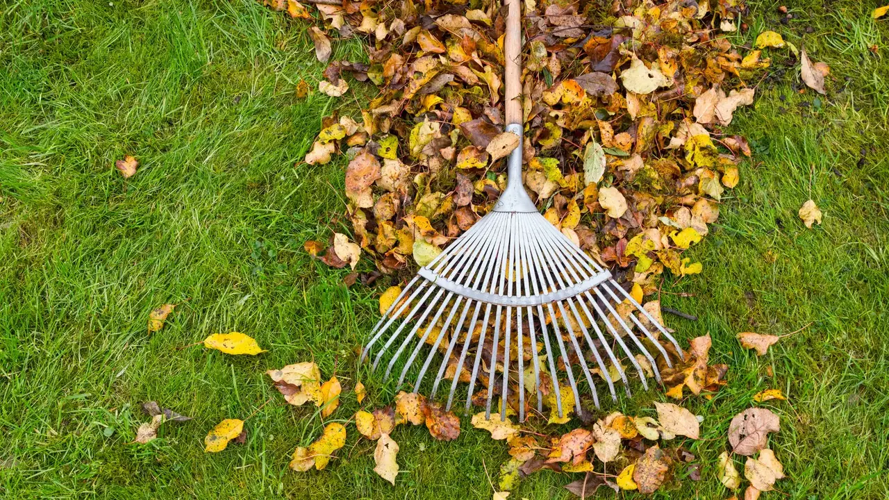 Herbst & Frühling
