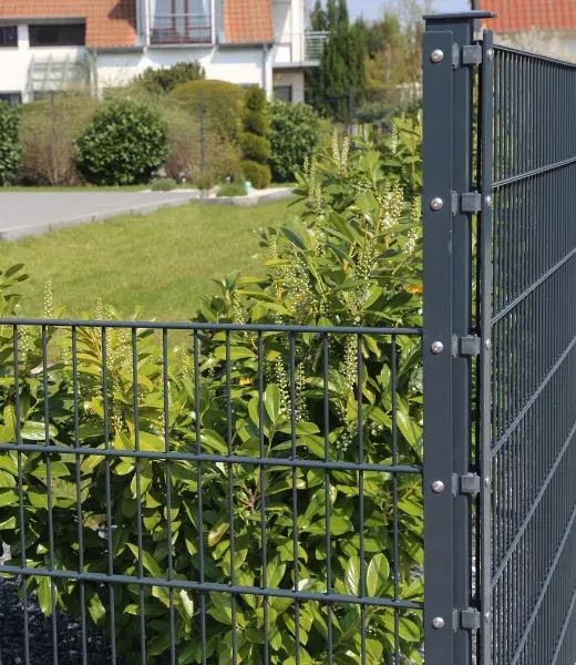 Gitterzaun mit Hecke